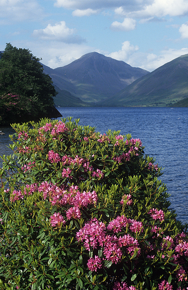 Wastwater and Great Gable, Wasdale 